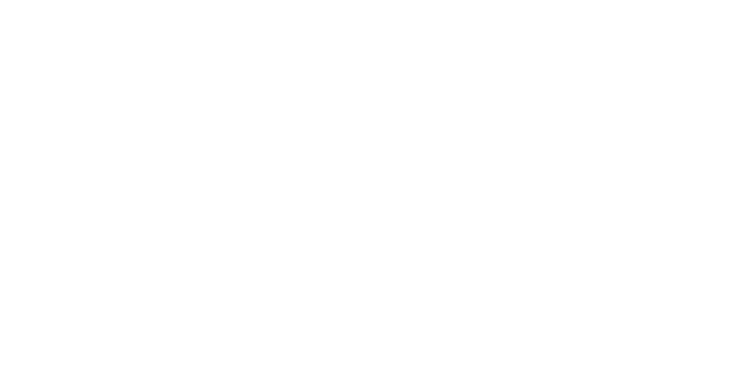 Spontex